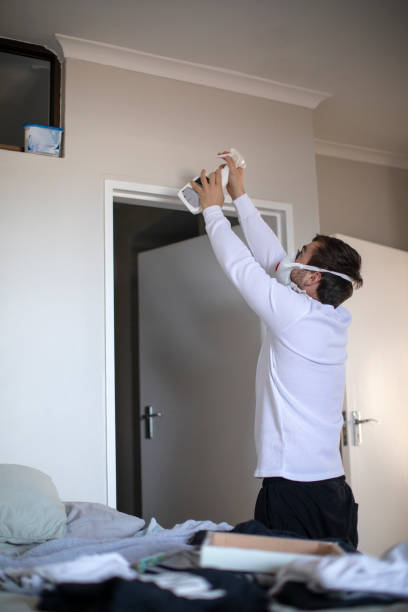 Best Real Estate Mold Inspection  in Sugar Grove, IL